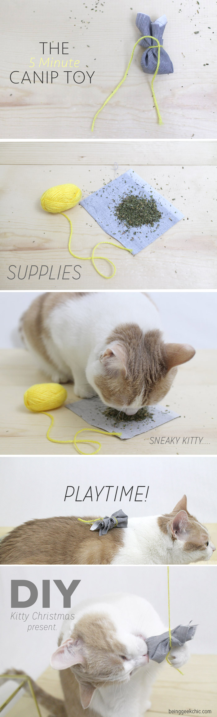 catnip-info